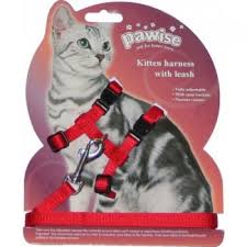 Pawise - Kitten Harness W/1.2 Leash Red/Blue