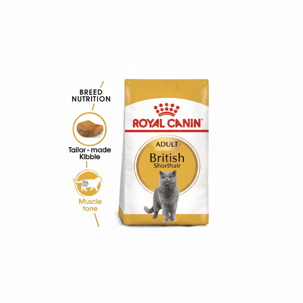 Royal Canin Feline Breed Nutrition British Shorthair Adult 4 kg