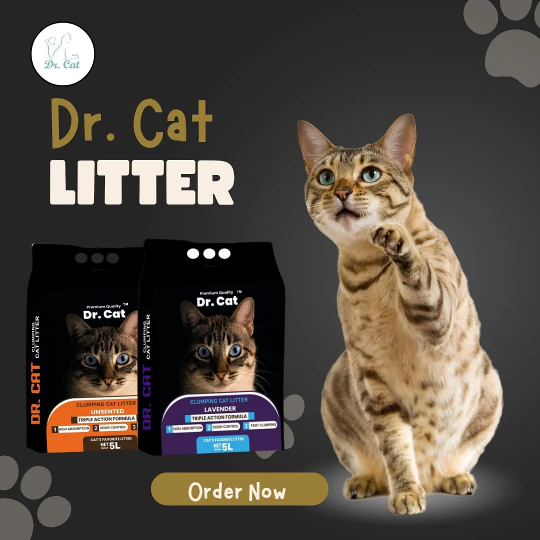 Dr Cat Clumping Cat Litter
