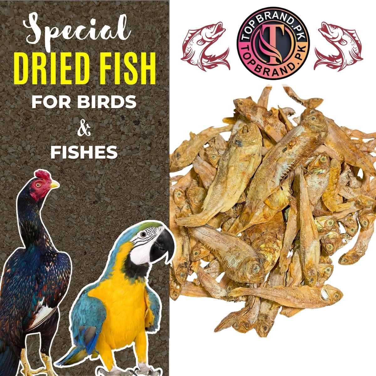 Dried Fish – Dry Fish