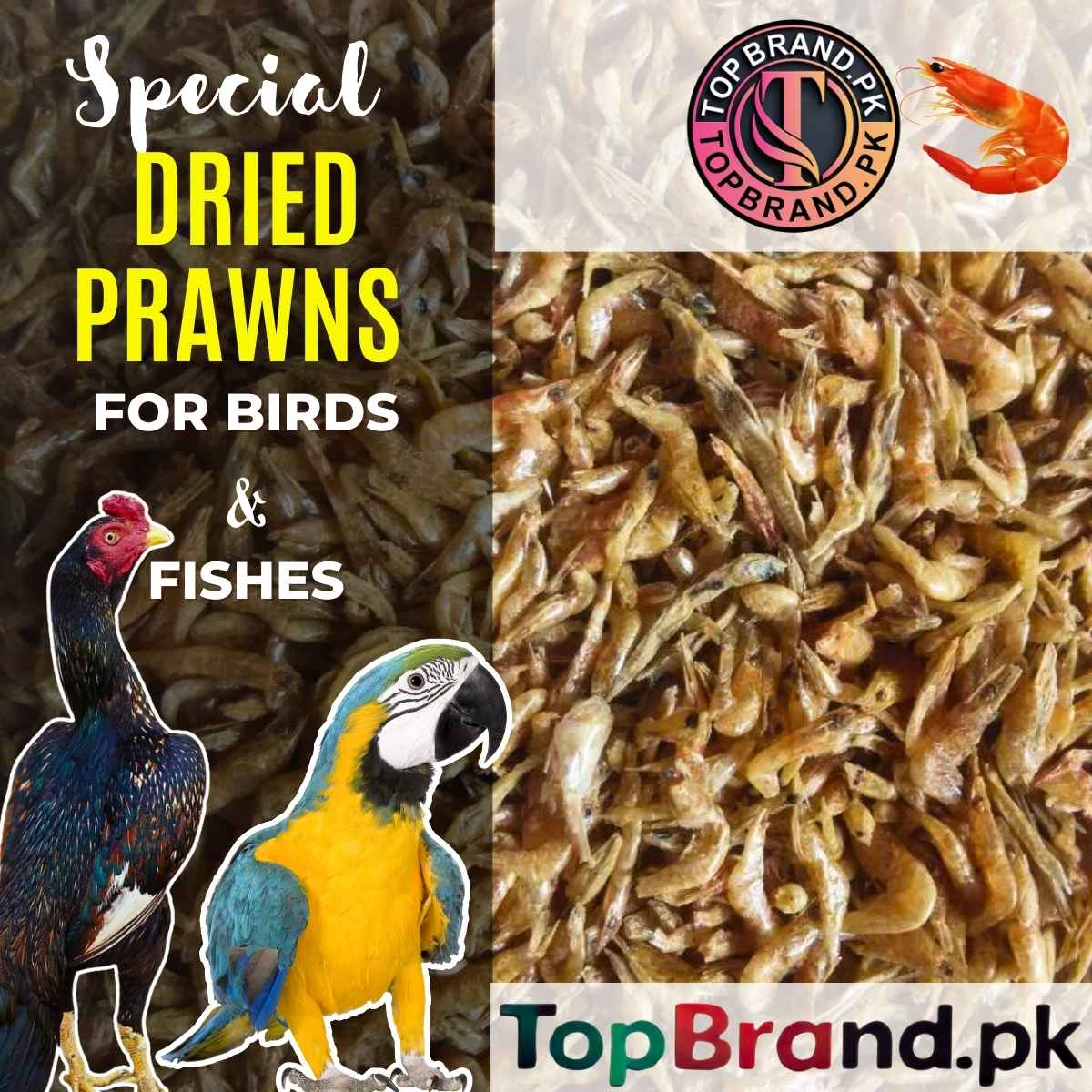 Dried Prawns | Baby Shrimps | Jheenga