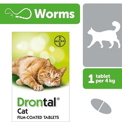 Drontal Deworming Tablets for Cats