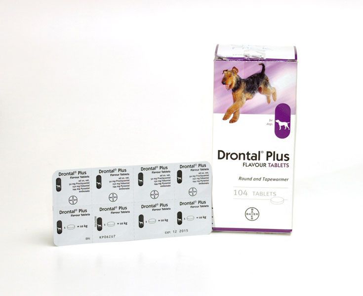 Drontal Plus for Puppies and Dogs ( 104 TAB BOX )