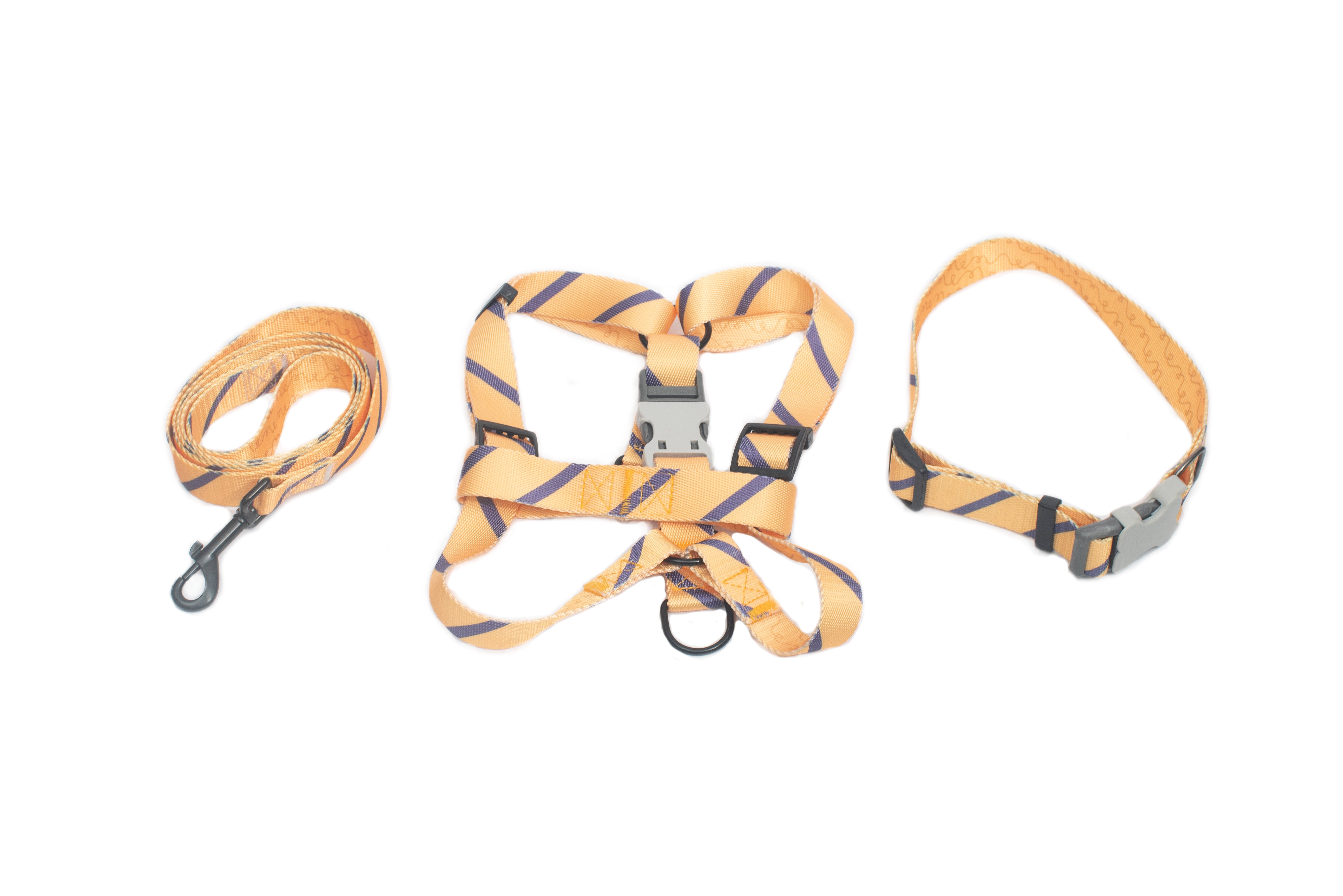 PL - Dog Harness, Collar And Leash Set Small
