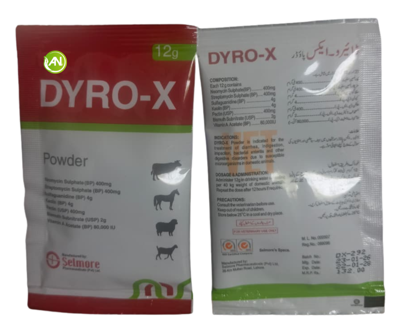 Dyro-X