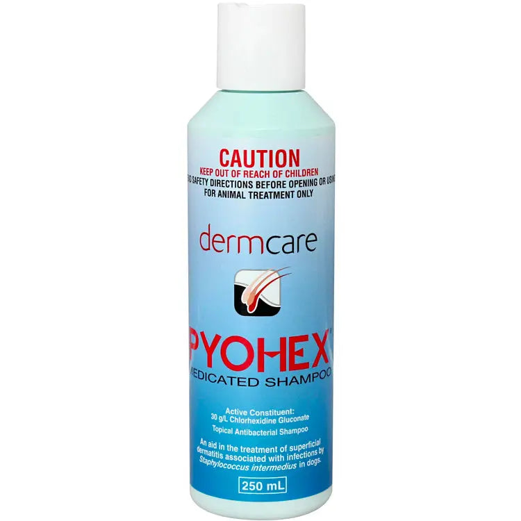 DERMCARE PYOHEX MEDICATED PET SHAMPOO 250 ML