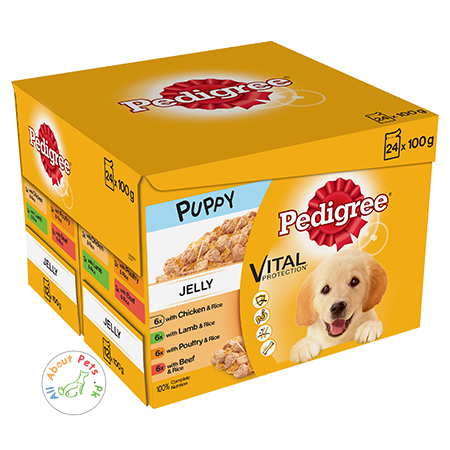 Pedigree Puppy wet Food Vital Protection Jelly 100g