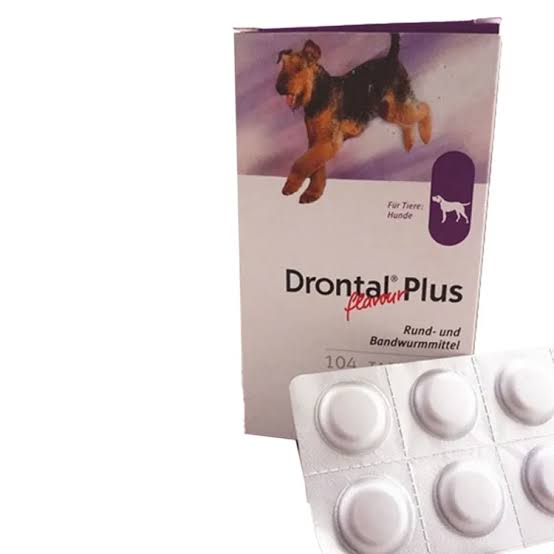 Drontal plus Dog Deworming Tablets