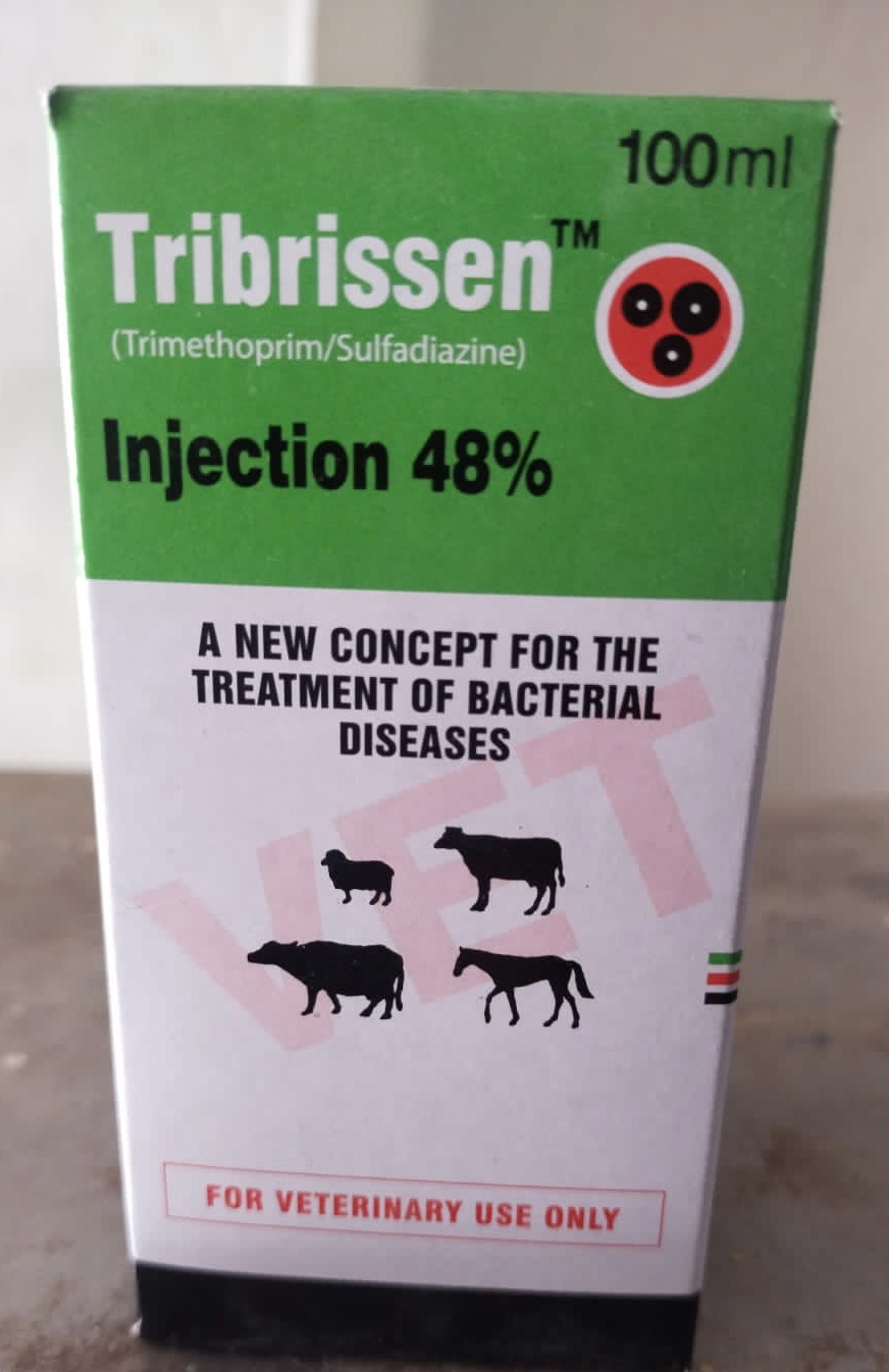 Tribrissen 100 ml Buy online