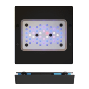 Ecotech Marine Radion