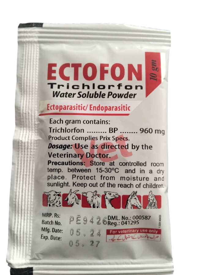 Ectofon sachet 10 mg buy online in Pakista