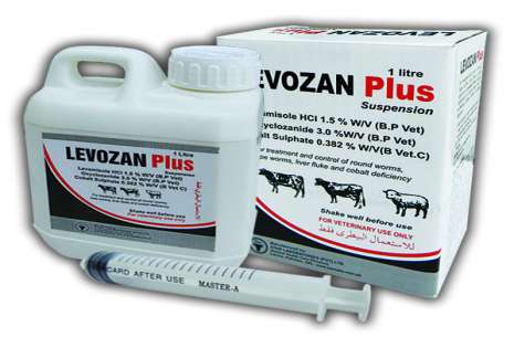 Levozan Plus Suspension 300 ml