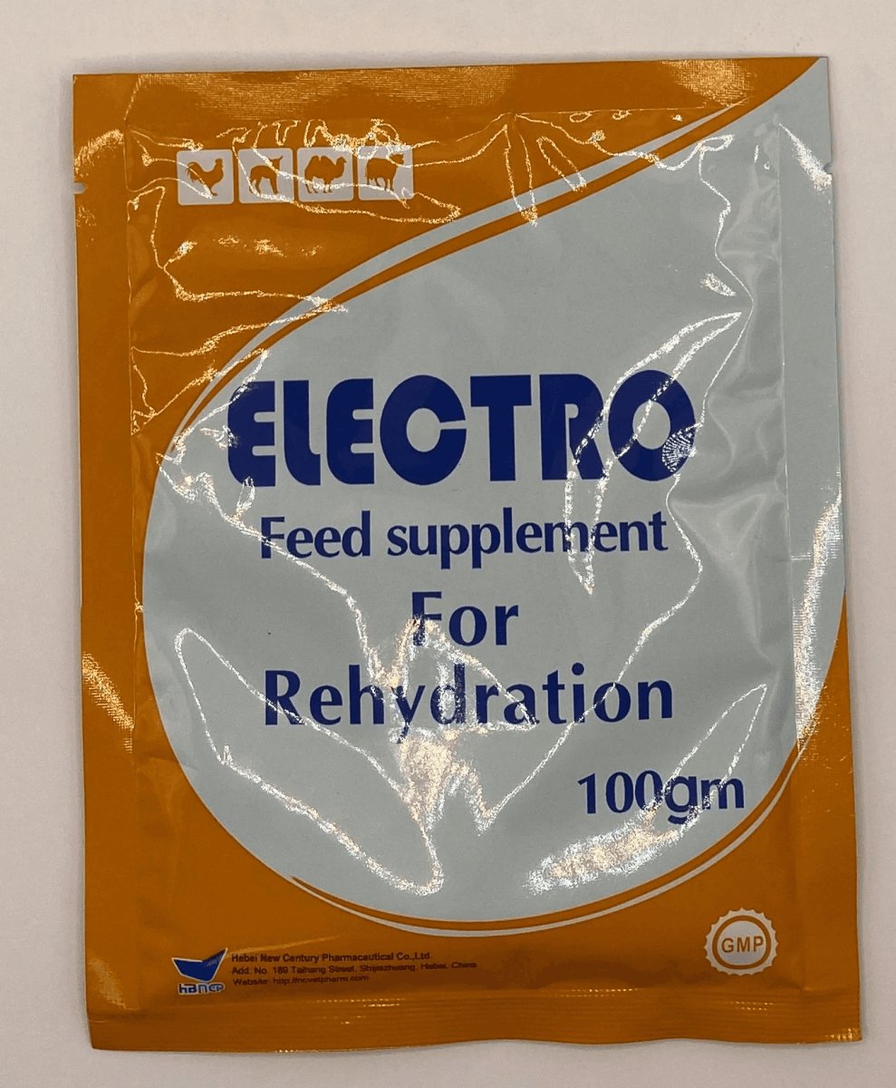 ELECTRO REHYDRATION 100 gm