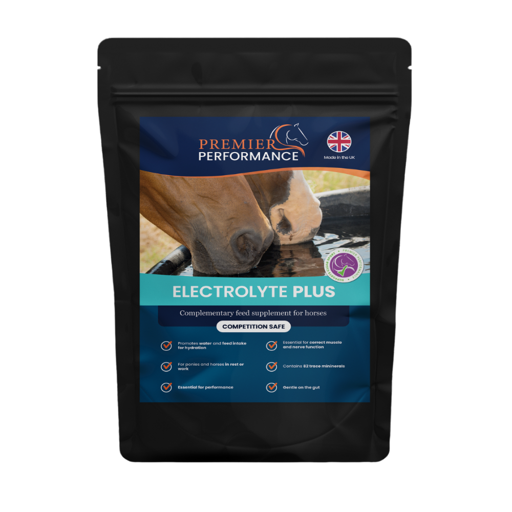 ELECTROLYTE PLUS | PREMIER PERFORMANCE | AL ZARRAB