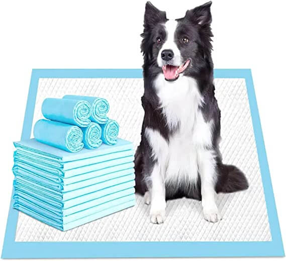 Emily Pet Training Pads for Dogs, Cats, Puppies & Pets, Urine,Potty Pads,100% Water Proof & Non Slippery