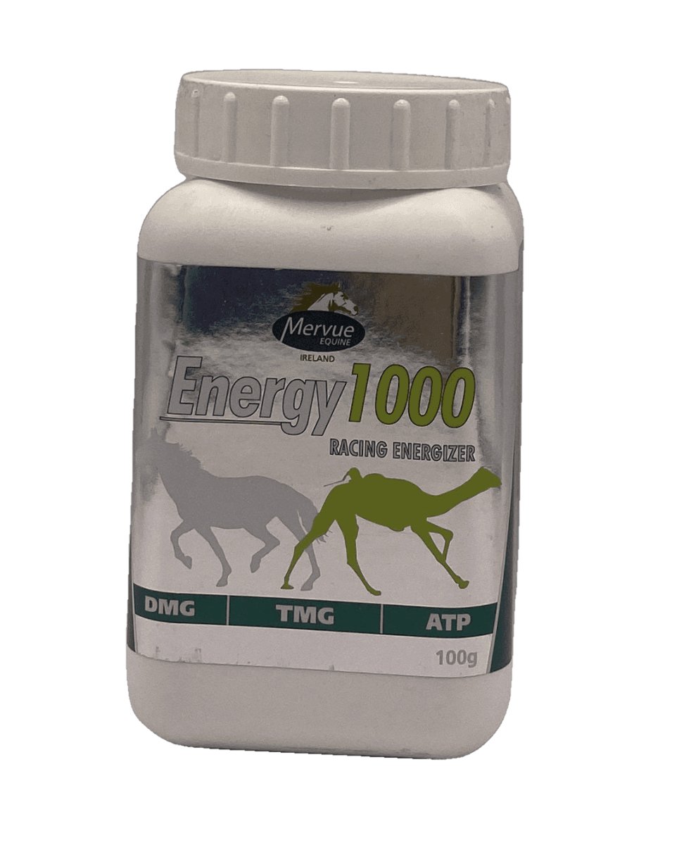 Energy 1000 Racing Energizer