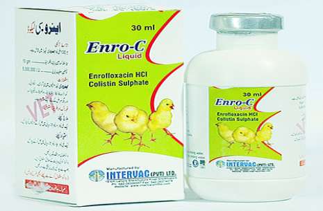 ENRO-C LIQUID ORAL SOLUTION