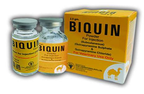Biquin Injection 2.5 gm