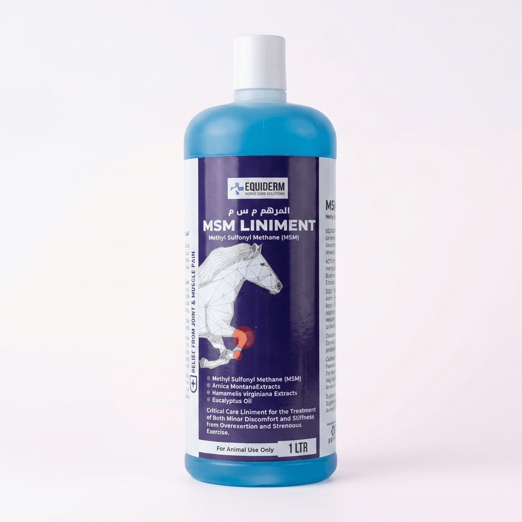 Equiderm MSM Liniment | Advanced Joint, Tendon & Muscle Recovery Rub for Horses