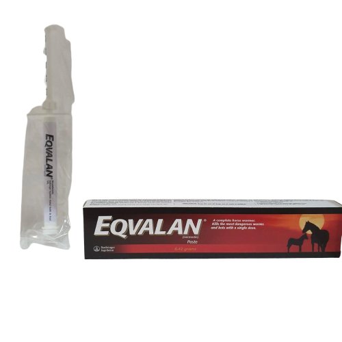 Eqvalan paste 1 injector 120 g