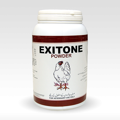 EXITONE