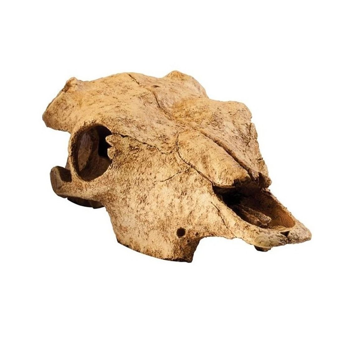 Exo Terra Cattle Skull Terrarium Decor