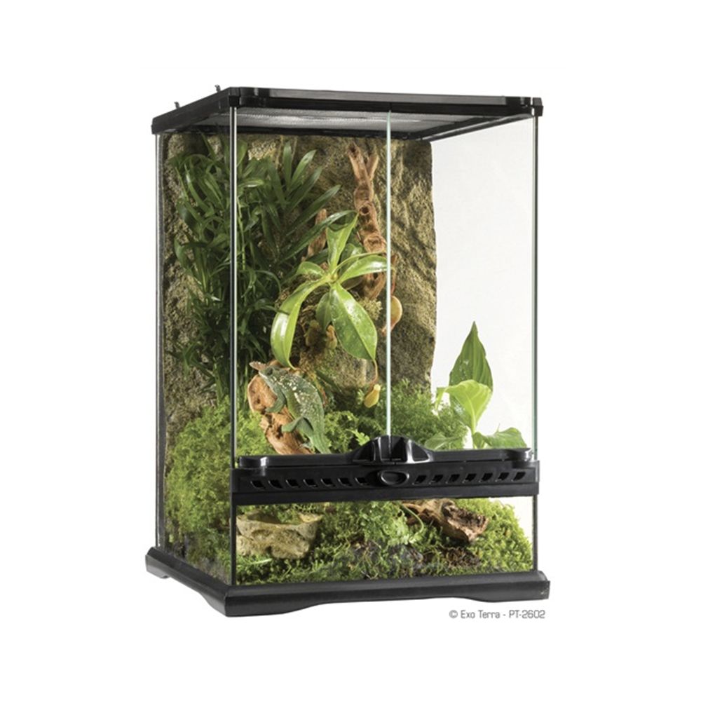 Exo Terra Mini-Tall Natural Terrarium - 30L x 30W x 45H cm