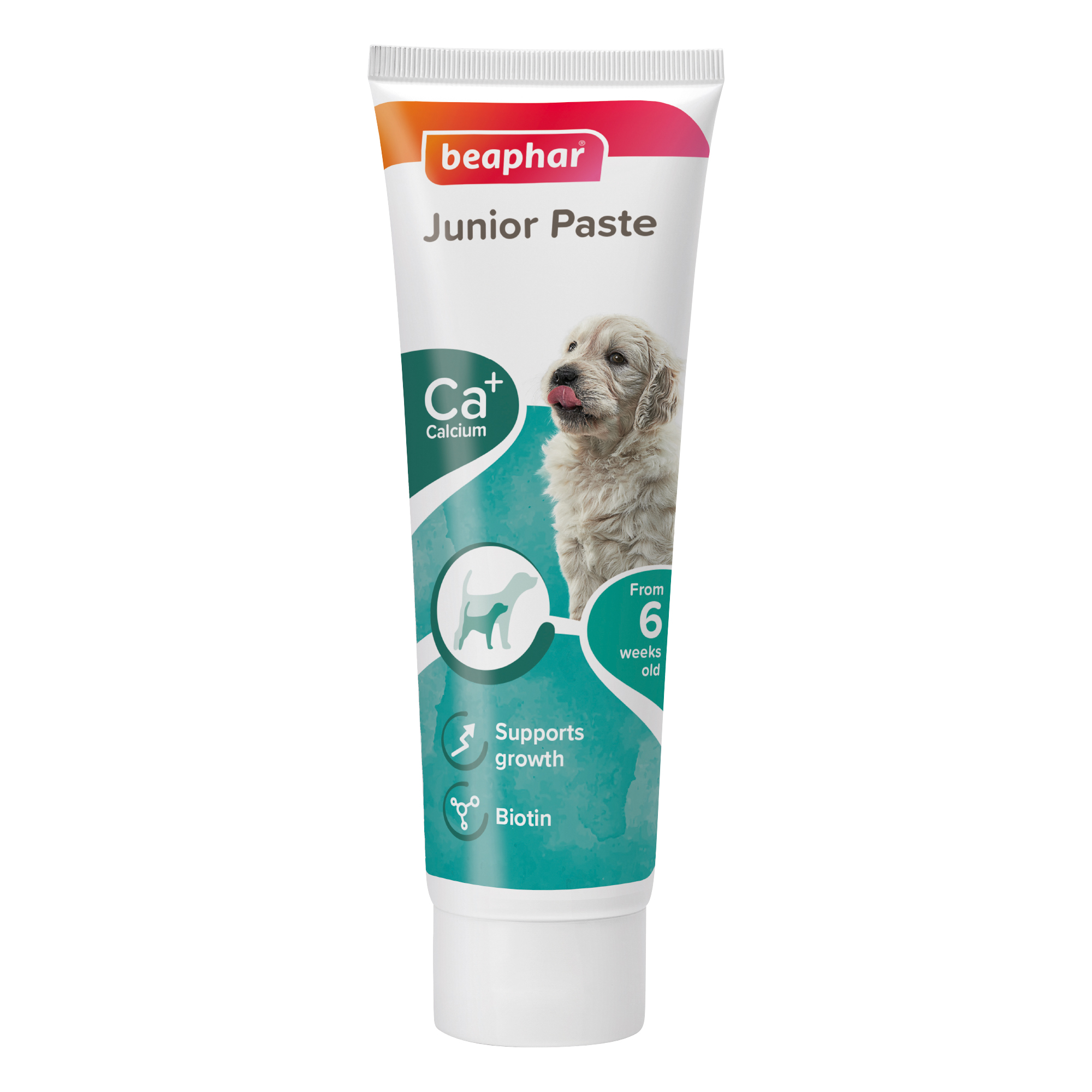 Beaphar Junior Paste - Dog / 100 g