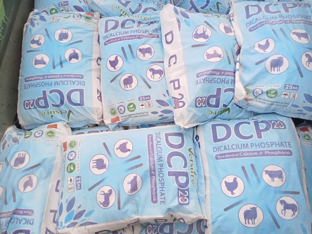 Dicalcium phosphate powder one kg buy online in pak