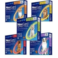 NEXGARD SPECTRA FOR DOGS