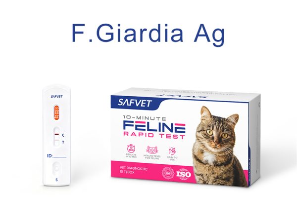 Feline Giardia Antigen Rapid Test Kit (10 Test/Box)