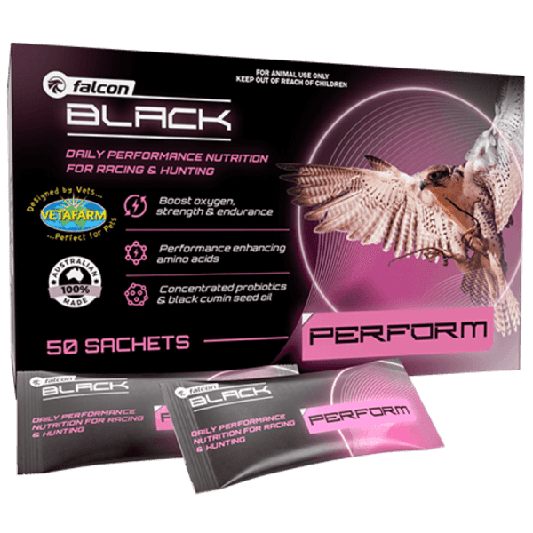 Falcon Black