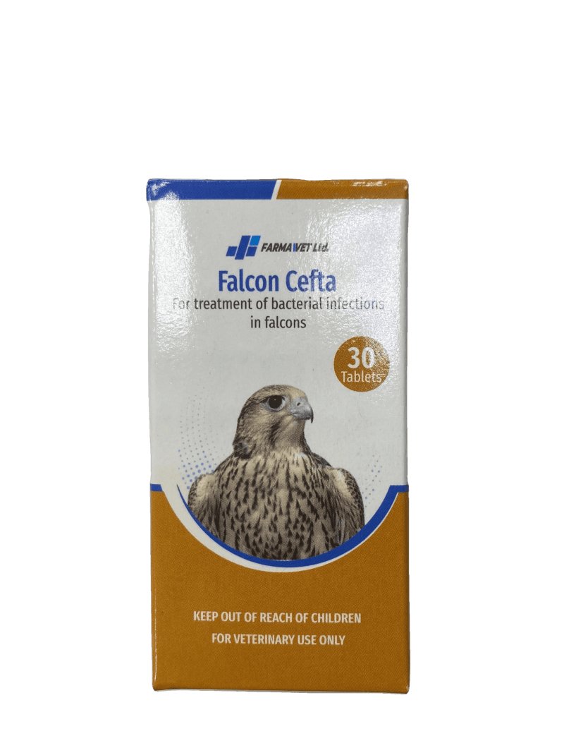 Falcon Cefta