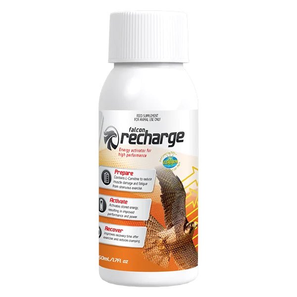 Falcon recharge 50 ml