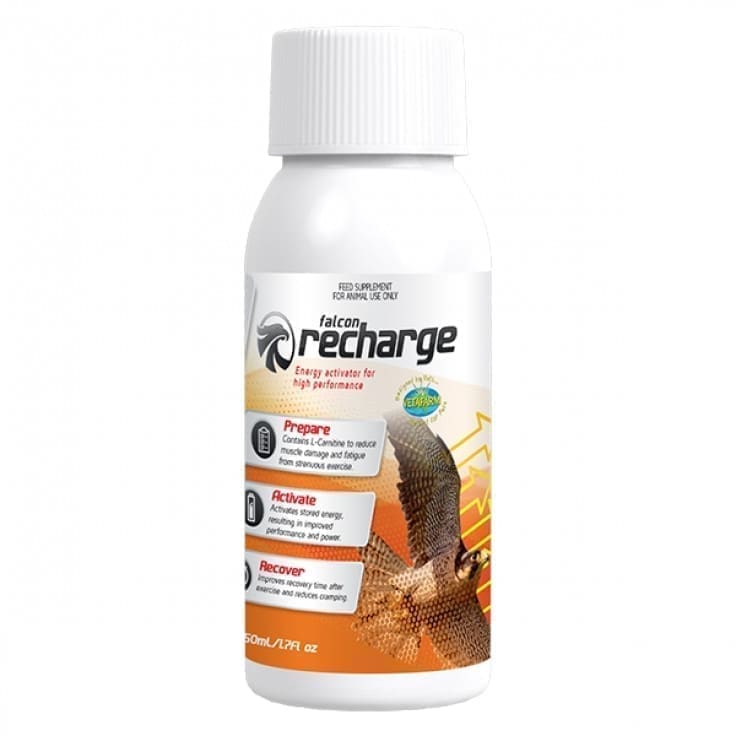 Falcon Recharge 50 Ml