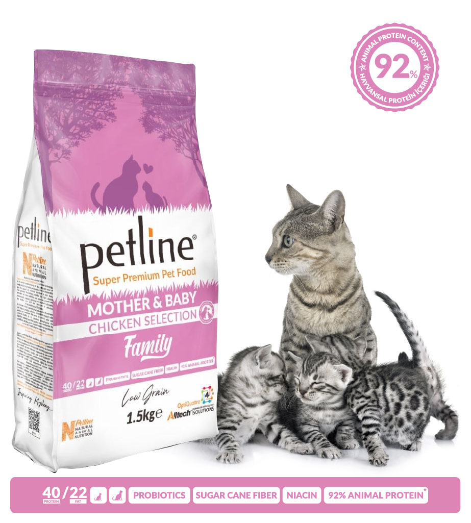 Petline Mother and Baby Chicken 1.5kg