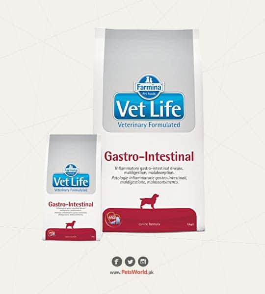 Farmina – Vet Life Gastrointestinal Cat Food 2kg