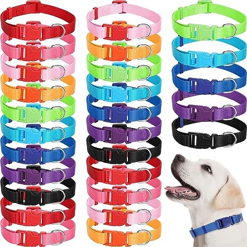 Multi Colour Adjustable collar Imported