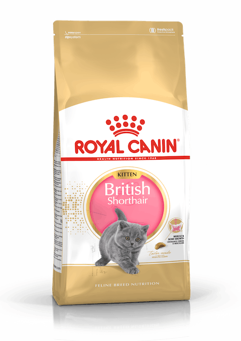 ROYAL CANIN BRITISH SHORTHAIR KITTEN