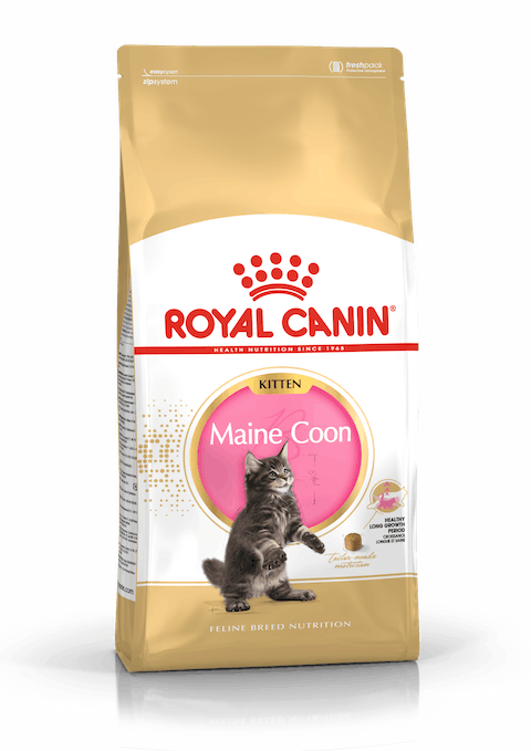 ROYAL CANIN MAINE COON KITTEN