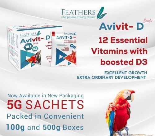 Feathers Avivit-D Supplement For Poultry-Multivitamins (1 Sachet-20g)