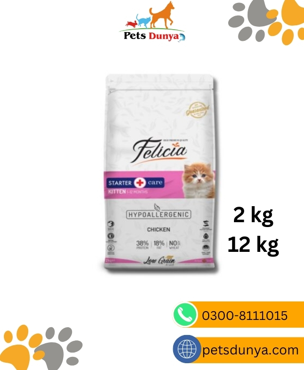 Felicia kitten Cat Food Starter Care chicken