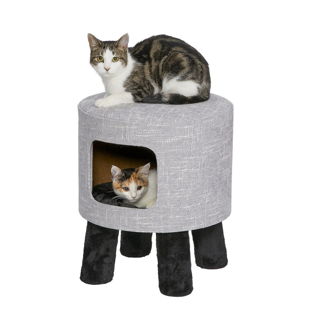 MIDWEST Feline Nuvo Stella