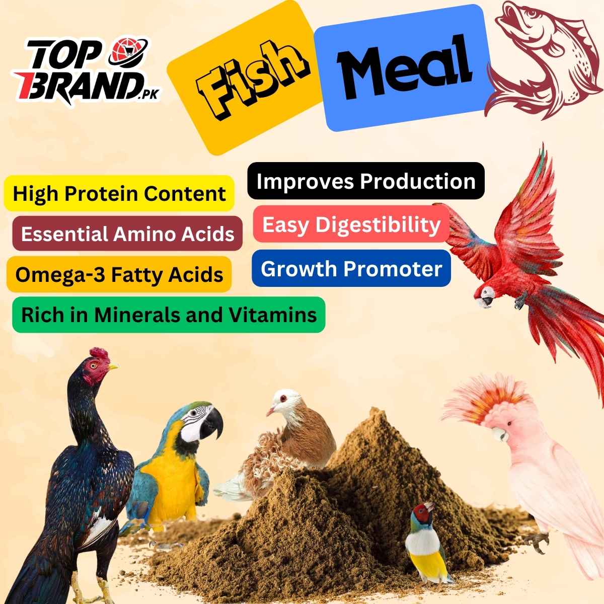 Premium Fish Meal