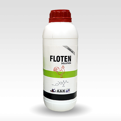 FLOTEN