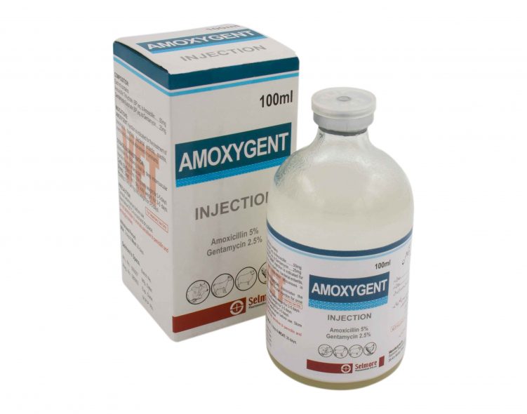 Amoxygent 100 ml