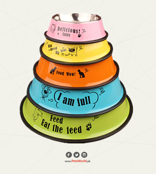 Colored Stainless Steel Pet Food Bowl