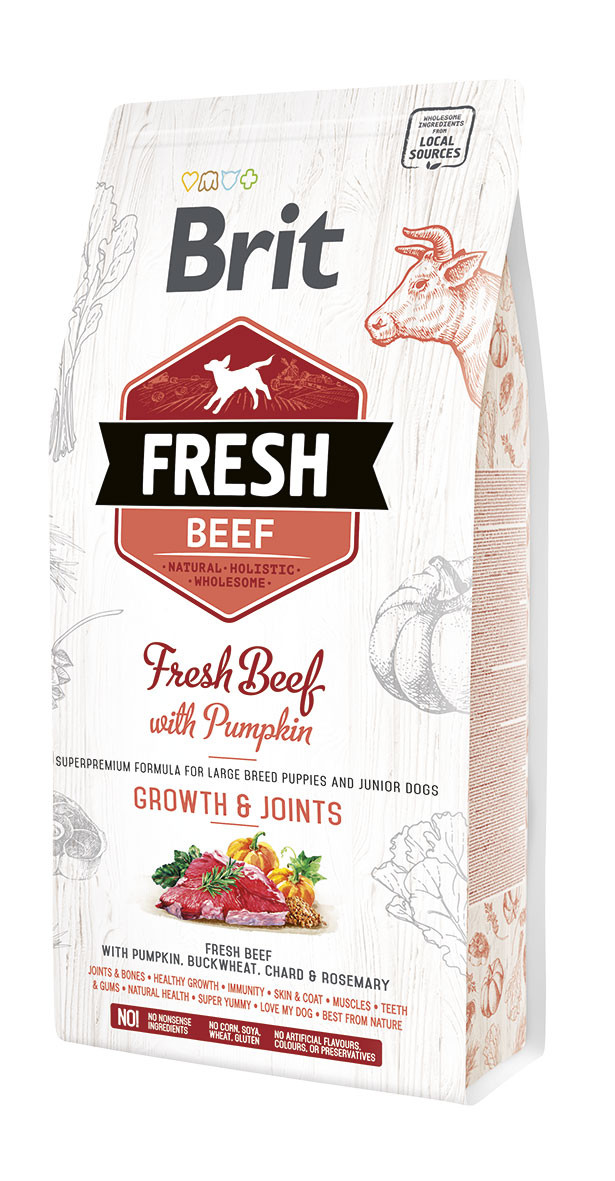 Brit Fresh Beef with Pumpkin Puppy Large