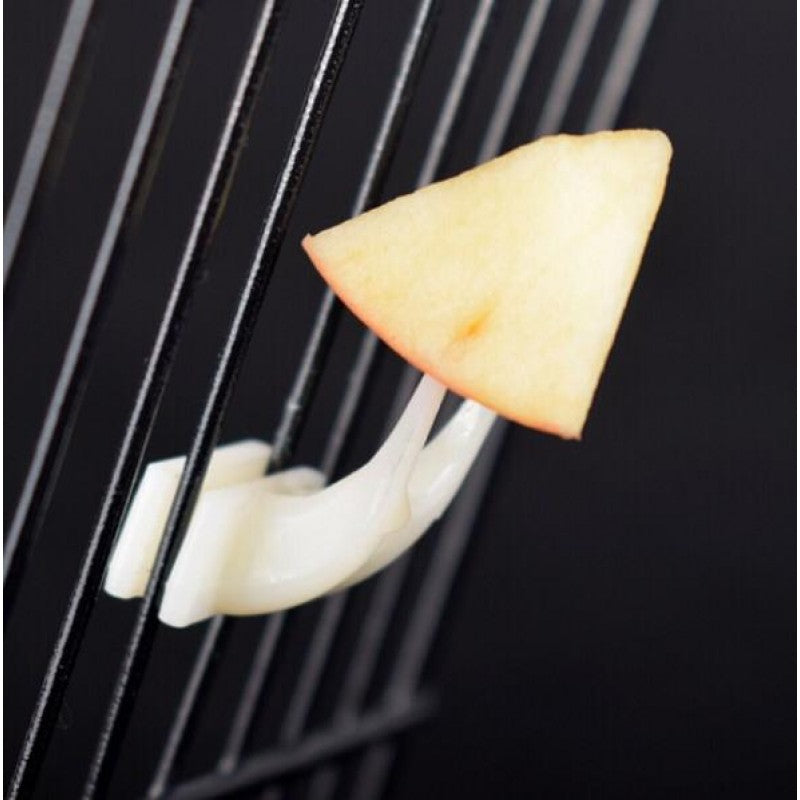 Fruit Fork – Fruits & Vegetables Holder for Birds