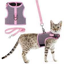 Full Body Cat Harness